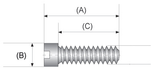 Mounting screws for nose pads