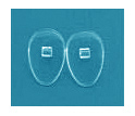 Nosepads