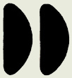 Black Adhesive Nose Pads